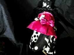 aged ladies view_03